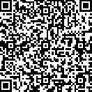 Google review QR code Tucson painting company